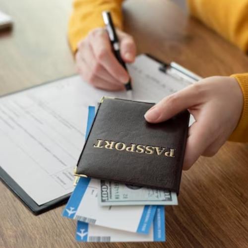 Visa Assistance